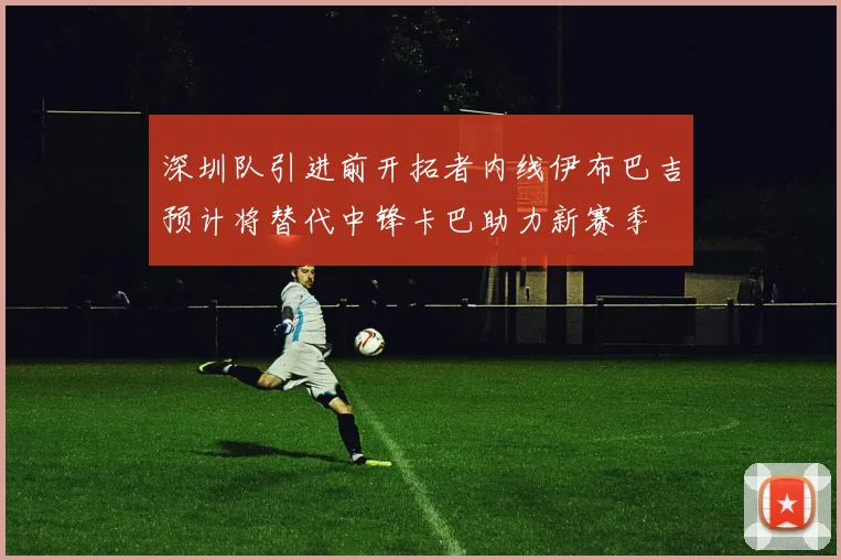 深圳队引进前开拓者内线伊布巴吉预计将替代中锋卡巴助力新赛季